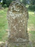 image of grave number 257482